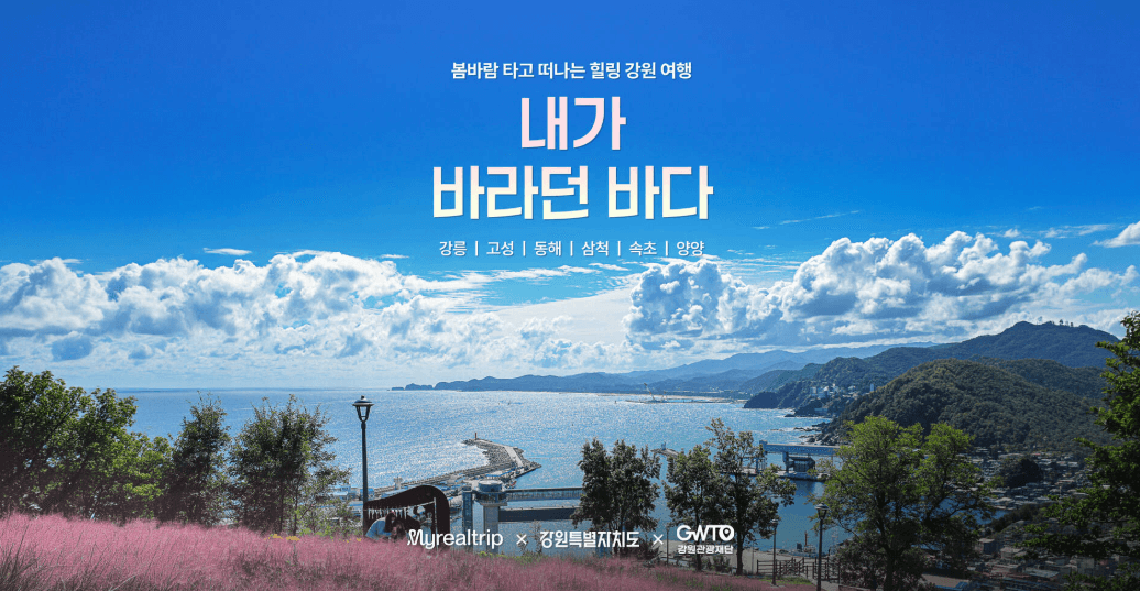 2026 강원관광재단 요트체험 해양치유 봄 기획전 마이리얼트립 할인 쿠폰